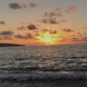 Meet your Posher, Audrey